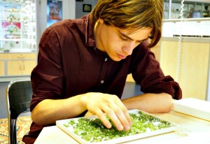 Will Looking Through Gems