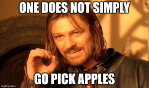 One Does Not Simply Go Pick Apples